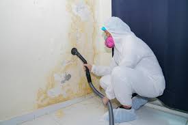 Best Mold Documentation for Insurance Claims  in Daytona Beach Shores, FL